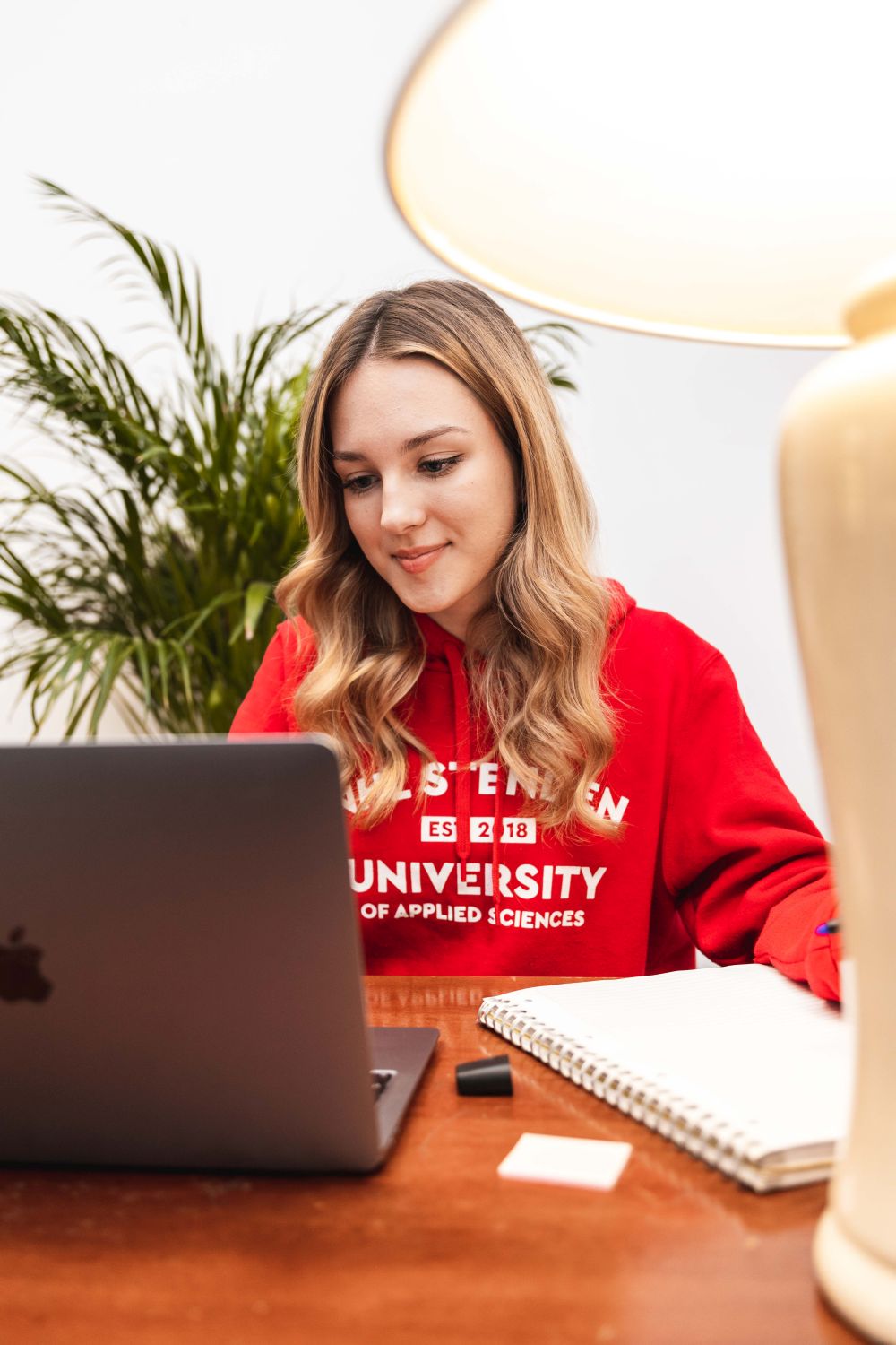 Milestone Advising Program